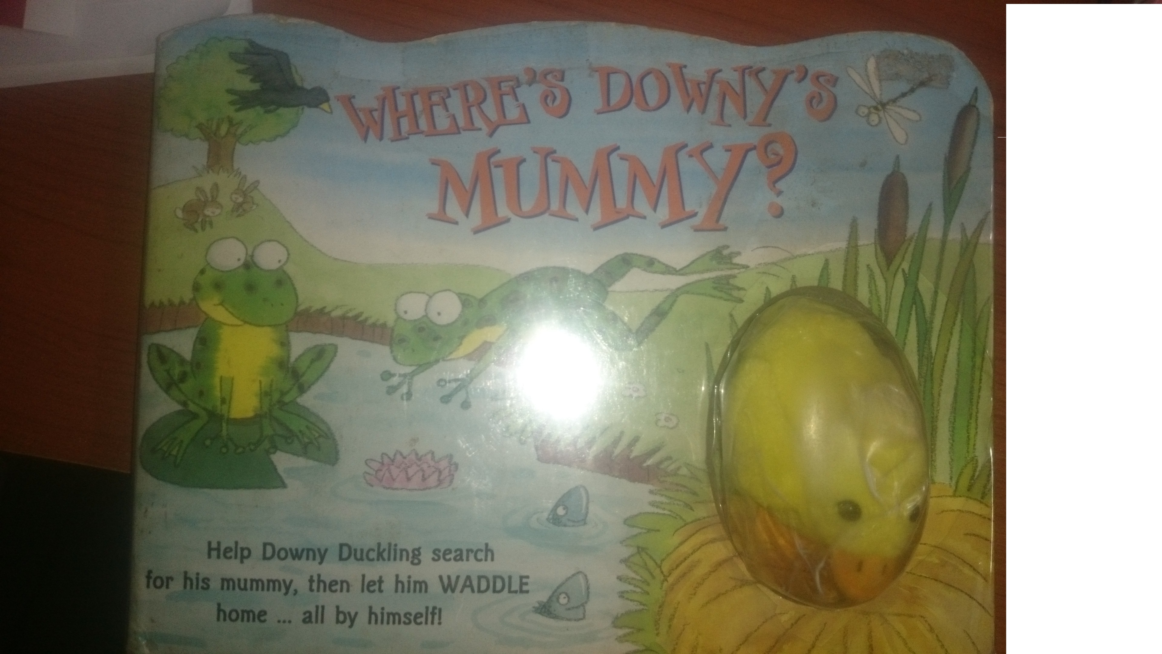 Where's Downy's Mummy?