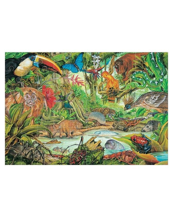 Rainforest Animals Puzzle